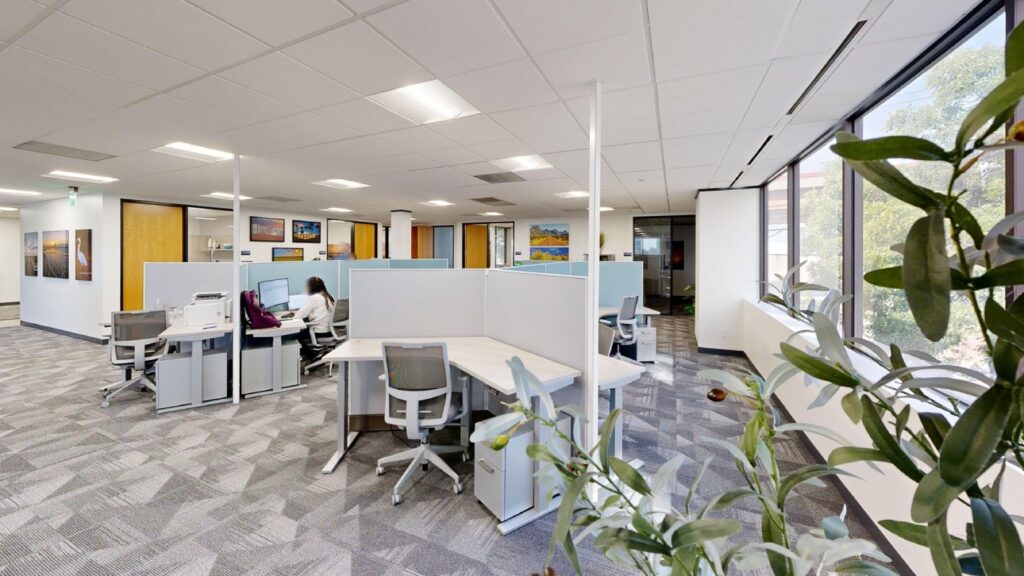 An office space with workstations divided by partitions, featuring computers and ergonomic chairs, along with a view through large windows and some indoor plants.
